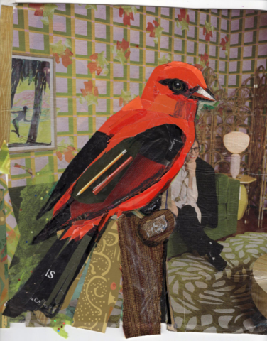 Scarlett Tanager Conserving Songbirds by Kathryn DeMarco collage